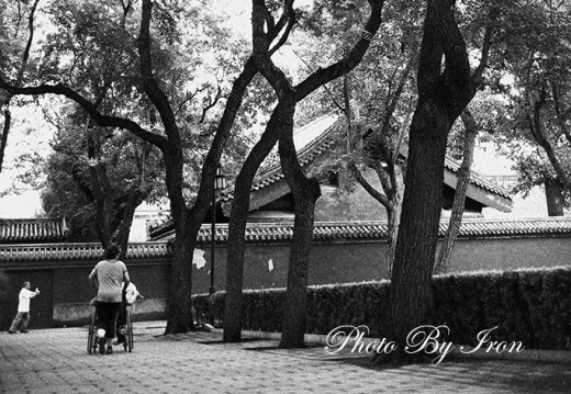 结伴同行-日坛公园
