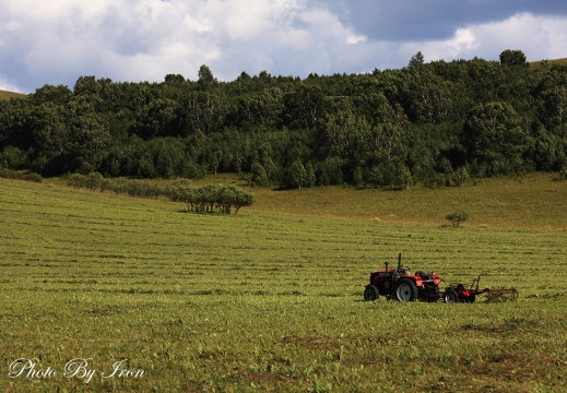 乌兰布统4